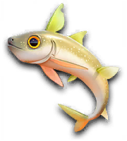 Fish 44