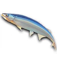 Fish 45