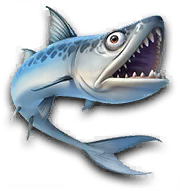 Fish 47
