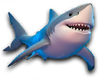 Fish 48