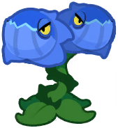 Twin Flower
